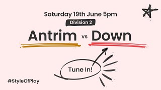 Littlewoods Ireland Camogie Leagues  Division 2 FInal  Antrim v Down [upl. by Strain643]