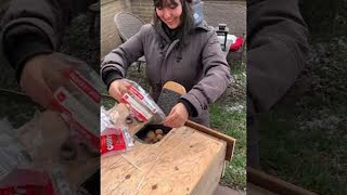 Building A DIY Squirrel Feeder for my Daughter  ViralHog [upl. by Jansen]