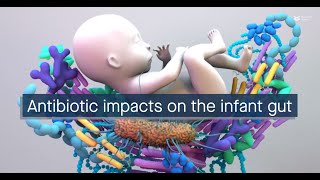 Antibiotics affect the microbial resistance of the infant gut [upl. by Airlee623]