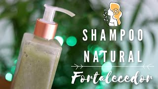 🌿 Cómo hacer un SHAMPOO natural  💚 Shampoo natural para FORTALECER el cabello [upl. by Erlinna]