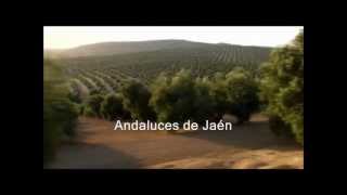 Andaluces de Jaén  Jarcha [upl. by Yevi]