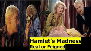 Hamlets Madness in English l Theme of Madness in Hamlet l Hamlet Madness l Hamlet Madness Analysis [upl. by Neyu]