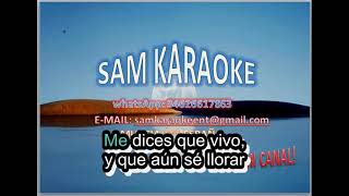 Chiquilla bonita LOS BUKIS Karaoke [upl. by Yejus292]