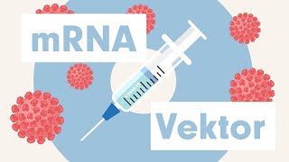 SARSCoV2 CoronaImpfstoffe im Vergleich mRNA und Vektor [upl. by Itteb]