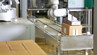 AntiSlip Gluing pallet stabilization  Swissmill packaging line I Robatech Reference Video [upl. by Yaffit]