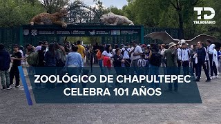 Zoológico de Chapultepec celebra 101 años convertido en un centro de conservación de especies [upl. by Oika808]