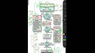 Hyponatremia MADE EASY CAUSE GB [upl. by Konyn]