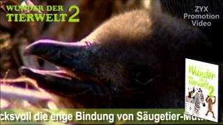 Wunder Der Tierwelt 2 [upl. by Aved]