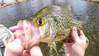 Ice Out Fishing For Spring Crappies [upl. by Ativoj855]