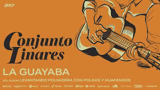 Conjunto Linares  La Guayaba Audio Oficial [upl. by Anytsirk]