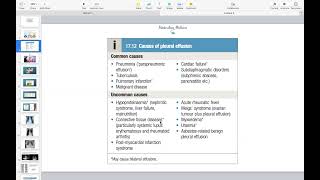 Pleural Effusion Empyema Pneumothorax  Respiratory Course [upl. by Aremus]