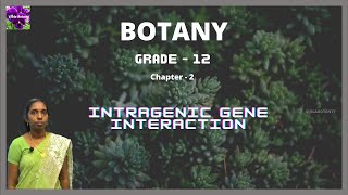 Grade  XII  Botany  Intragenic Gene Interaction  Bethlahem Matriculation School [upl. by Einot]