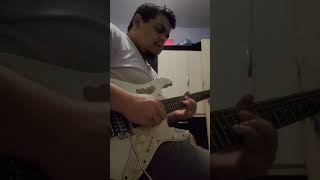 Lanterna dos Afogados  Paralamas do Sucesso  Solo de guitarra  Herbert Vianna [upl. by Aro122]