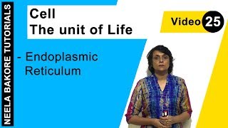 Cell  The unit of Life  NEET  Endoplasmic Reticulum  Neela Bakore Tutorials [upl. by Minny668]