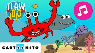 🎵 Zabawny taniec z morskimi stworzeniami  Piosenki dla dzieci  Clawlolo 🦀 CartoonitoPL [upl. by Gualtiero824]