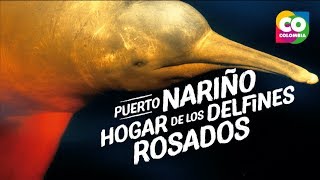 Puerto Nariño y los delfines rosados [upl. by Survance]