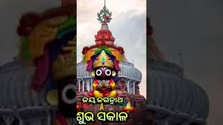 Guhari suna bhgabanajay jagannathodia bhajananamita Agarwal hitssongs trendଜୟ ଜଗନ୍ନାଥ [upl. by Kcitrap]