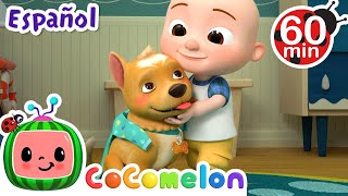 Las mascotas  Canciones Infantiles  Caricaturas para bebes  CoComelon en Español [upl. by Nairadal803]