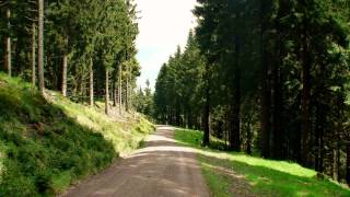 Wandern Thüringer Wald Rennsteig bei Oberhof [upl. by Euginimod]