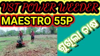 VST power weeder maestro 55P power weeder ଆସ ଶୁଖିଲା ହଳ କରିବା [upl. by Mcneely]