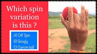 Which spin variation is this  Shorts cricket [upl. by Ttihw]