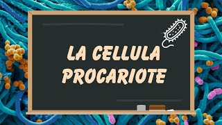 La struttura della CELLULA PROCARIOTE scopri come è fatta [upl. by Clarinda]