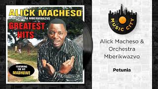 Alick Macheso amp Orchestra Mberikwazvo  Petunia  Official Audio [upl. by Seuqram]