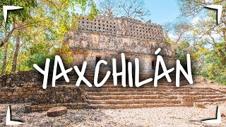 YAXCHILÁN en CHIAPAS 🔴Cómo llegar cuánto cuesta qué hay ► CIUDAD MAYA EN LA SELVA [upl. by Columbus312]