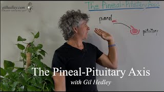 The PinealPituitary Axis Learn Integral Anatomy with Gil Hedley [upl. by Schroth]