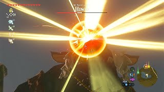 How To Complete BOTW Shrines  The Right Way 💜 With Hinox Cheese [upl. by Artimid]