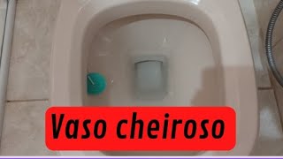 COMO COLOCAR PEDRA SANITÁRIA NO VASO DO JEITO CERTO [upl. by Narayan261]