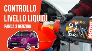 Controllo e rabbocco livello liquidi Panda 3 12 8V 📏 [upl. by Nagel]