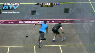 Squash  MegaRallies  James Willstrop v Mohamed El Shorbagy Qatar PSA Worlds 2012  EP15 [upl. by Giess488]