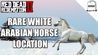 Rare White Arabian Horse Location Red Dead Redemption 2 [upl. by Elyk]