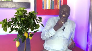 Ndiarignou Garabou Limon  Les vertus du Citronnier  Pr Ousmane Ndiaye  SAMA XALAAT TV [upl. by Aerbas512]