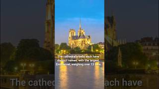 NotreDame Cathedral Paris facts trending shorts [upl. by Anaerb]