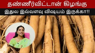 தண்ணீர்விட்டான் கிழங்கு  சதாவரி எதுக்கு எப்படி பயன்படுத்தனும் shatavari benefits [upl. by Naujud557]