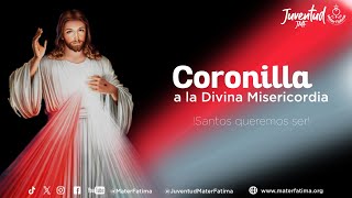 Coronilla a la Divina Misericordia  Domingo 24 de noviembre de 2024 [upl. by Albemarle101]