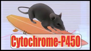 CytochromeP450 Interactions Mnemonic [upl. by Eb]