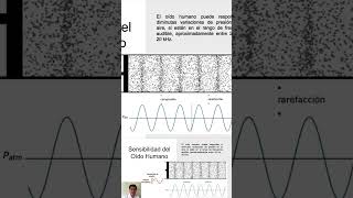 Sensibilidad del oído humano acustica sonido vibraciones musica fisica ondasonora ciencia [upl. by Hallam600]