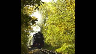 Lößnitzgrundbahn  der Dampfzug zum Fischzug [upl. by Babb91]