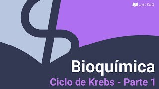 Bioquímica Ciclo de Krebs  Parte 1 [upl. by Kimberlee518]