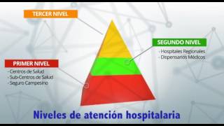 Niveles de atención de salud [upl. by Veradia841]