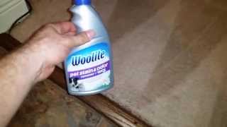 Woolite Pet Stain and Odor Remover Plus Oxy Carpet Cleaning [upl. by Christi249]