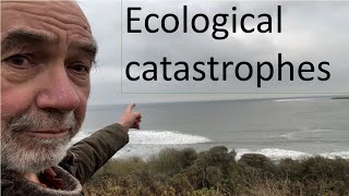 Ecological catastrophes [upl. by Kaia]