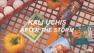 kali uchis  after the storm LYRICS [upl. by Alden]