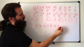 Number systems Decimal Binary and Hexadecimal [upl. by Candi]