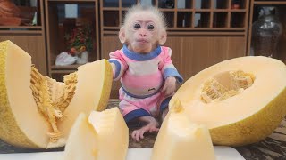 Bibu happily enjoyed the delicious cantaloupe smoothie made by Dad [upl. by Andrej]