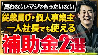 【2024年版】従業員0･個人事業主でも使える補助金2選中小企業診断士が解説一人社長･小規模事業者･中小企業経営者にも必ず使ってほしい小規模事業者持続化補助金と省力化補助金 [upl. by Nivrag]