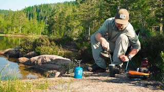 Camping alone in Norwegian forest [upl. by Aihsemak952]